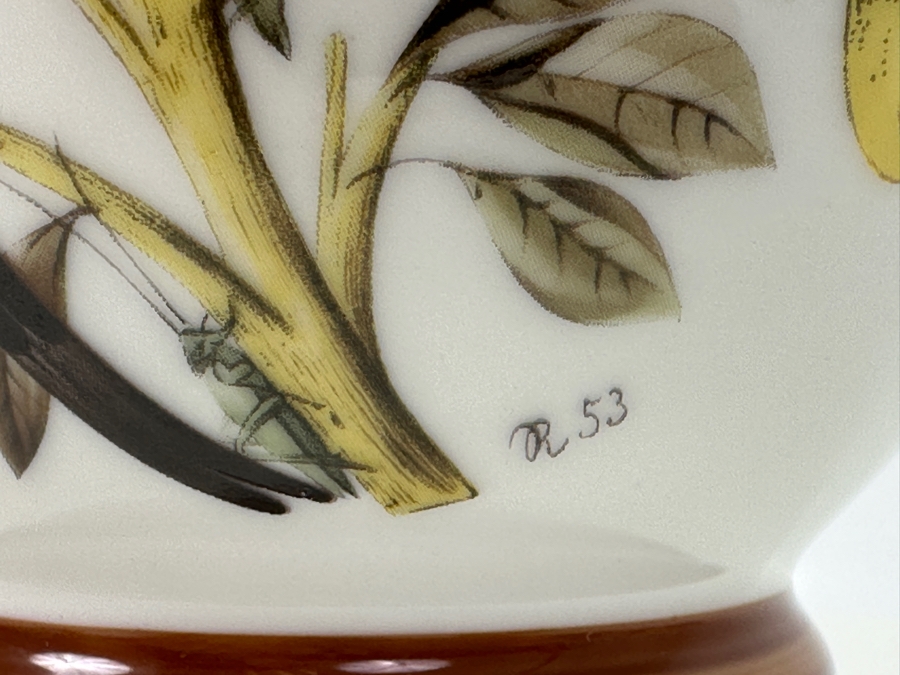 Vintage Alois Dallmayr Parrot 'Herrenchiemsee' Coffee Canister 10'H [Photo 4]