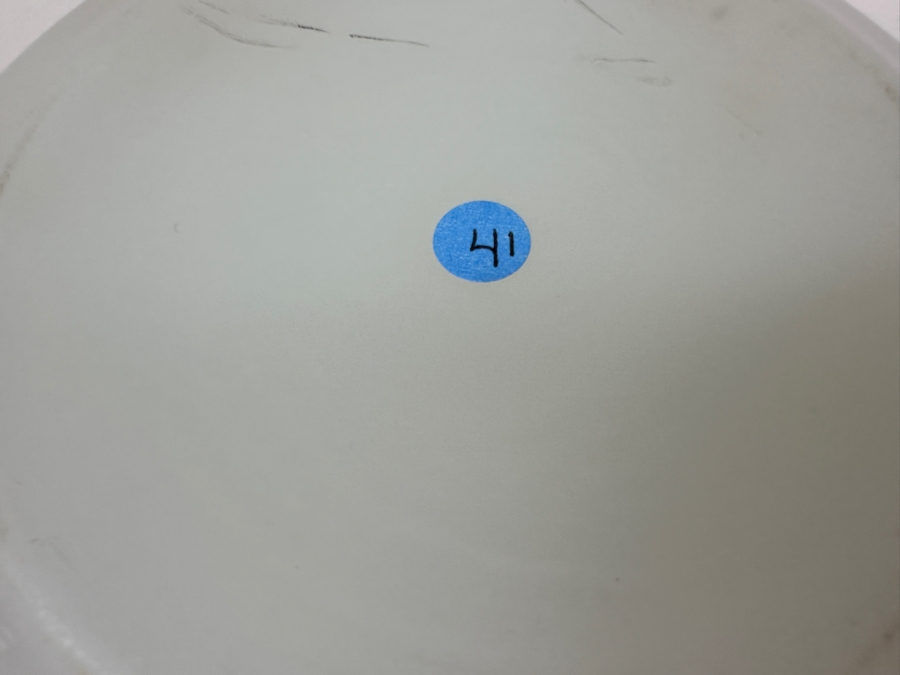 Antique Opaline Glass: White Spittoon 9'W X 5'H Appraised $250 [Photo 9]