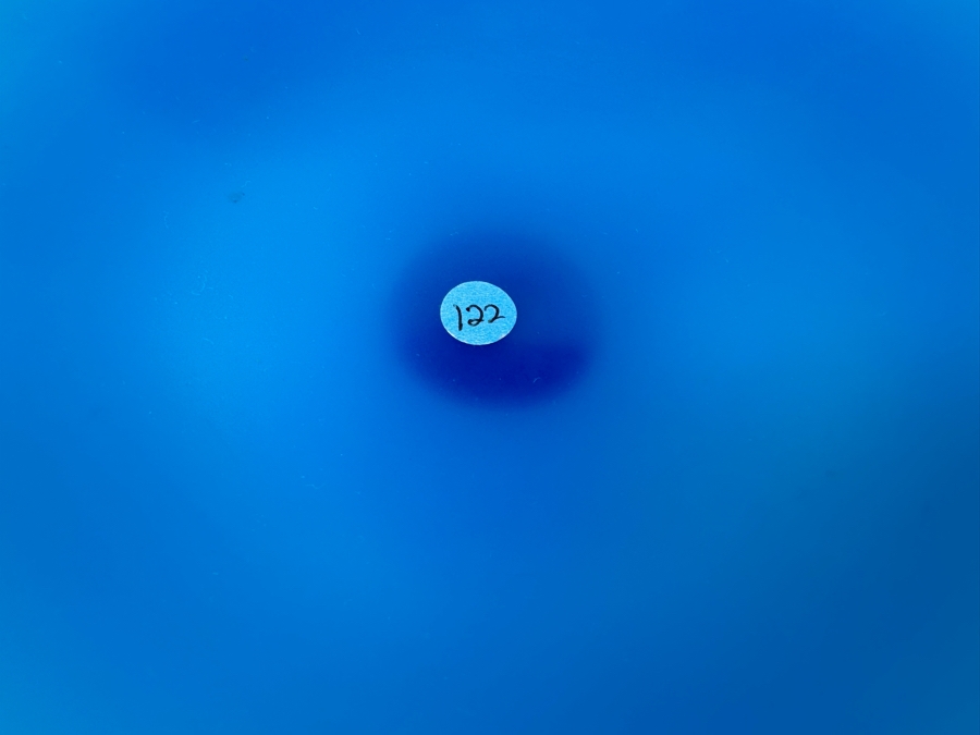 Vintage Mid-Century Opaline Glass: Blue Compote 7.75'W X 4.75'H Appraised $40 [Photo 8]