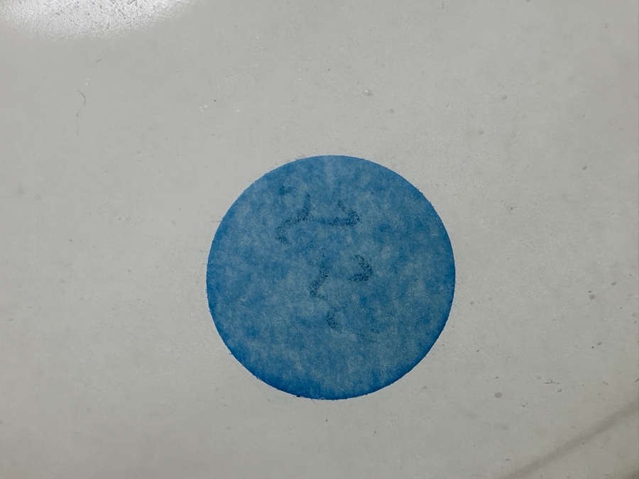 Antique Opaline Glass: Tall White Vase With Applied Green Snake And Gold Decor 21'H Client Paid $257 [Photo 11]