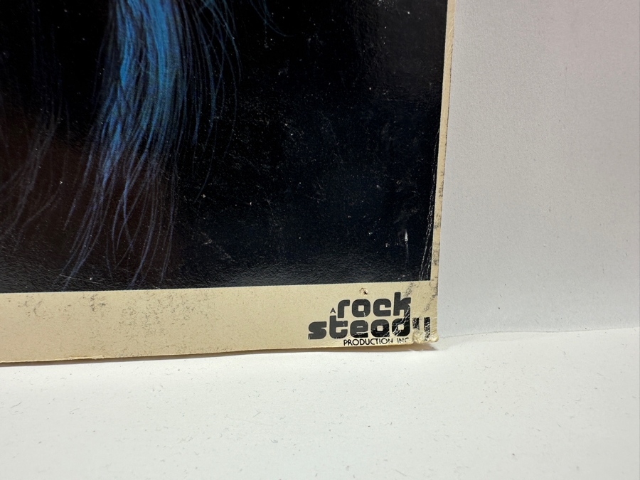 Vintage 1978 KISS Casablanca Records Record Store Promotional Cardboard Poster Double-Sided 23 X 23 [Photo 8]