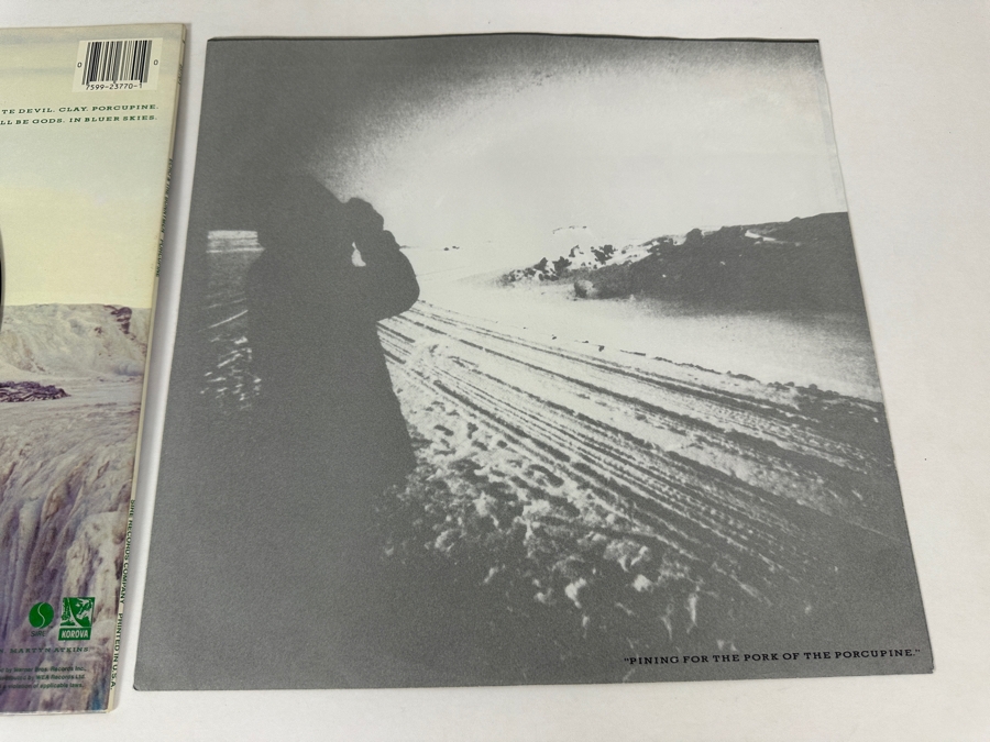 Echo & The Bunnymen - Porcupine 1-23770 Sire Records Vinyl Record 1983 Promo Copy [Photo 9]