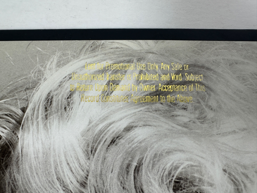 Madonna - Madonna 1-23867 Sire Records Vinyl Record 1983 Promo Copy [Photo 3]