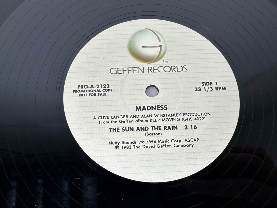 Madness - The Sun And The Rain PRO-A-2122 Geffen Records Vinyl Record Promo Copy [Photo 6]