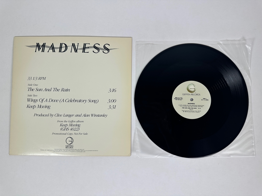 Madness - The Sun And The Rain PRO-A-2122 Geffen Records Vinyl Record Promo Copy