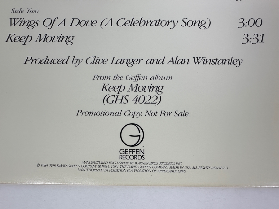 Madness - The Sun And The Rain PRO-A-2122 Geffen Records Vinyl Record Promo Copy [Photo 4]