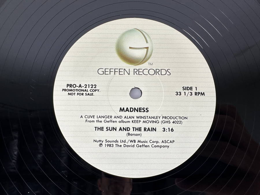 Madness - The Sun And The Rain PRO-A-2122 Geffen Records Vinyl Record Promo Copy [Photo 3]