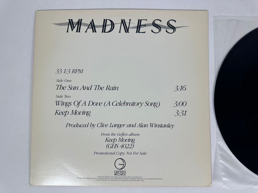 Madness - The Sun And The Rain PRO-A-2122 Geffen Records Vinyl Record Promo Copy [Photo 2]