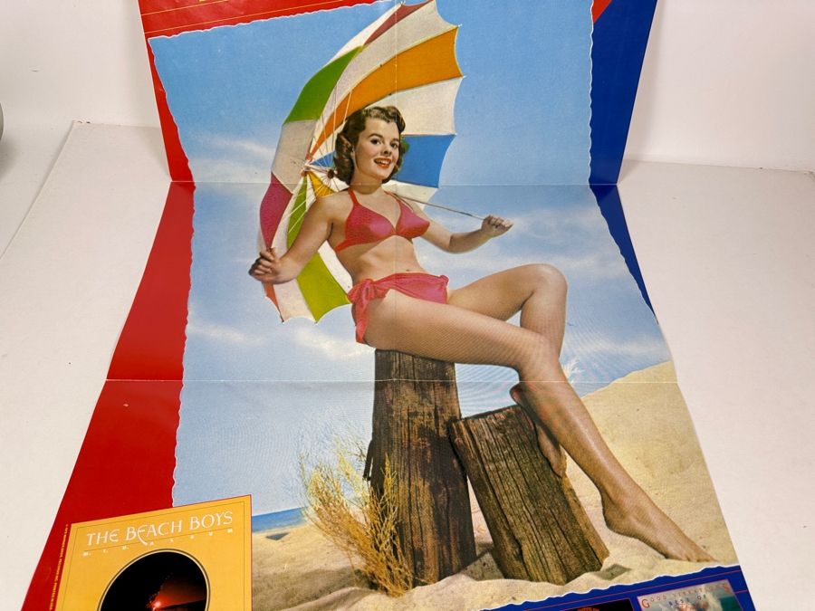 The Beach Boys M.I.U. Album Promotional Record Store Poster 23 X 34.5 [Photo 4]