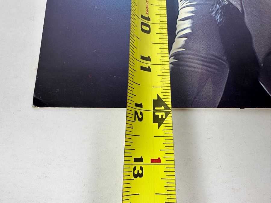 JUST ADDED - Vintage 1978 Ted Nugent Official TNT Concert Tour Program 9 X 12	 [Photo 14]