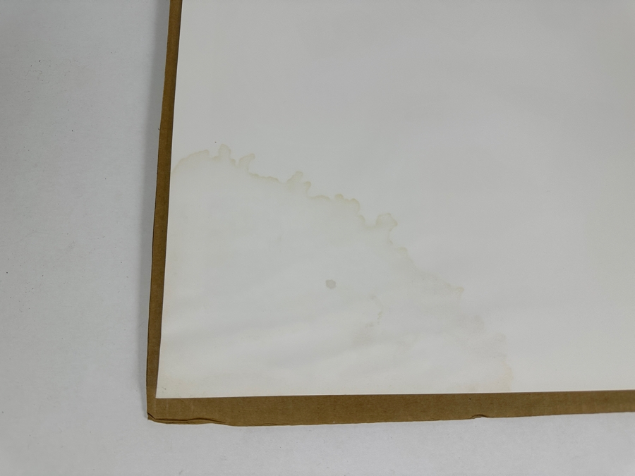 Angelo Marino Artist Signed Limited Edition (179/378) Emmitt Smith Dallas Cowboys Football Print 16 X 20 (Has Water Damage) [Photo 8]