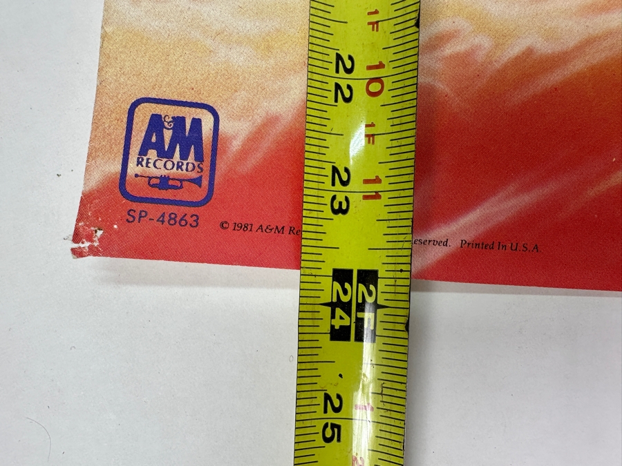 JUST ADDED - Vintage 1981 Oingo Boingo - Only A Lad Poster 24 X 24 [Photo 9]