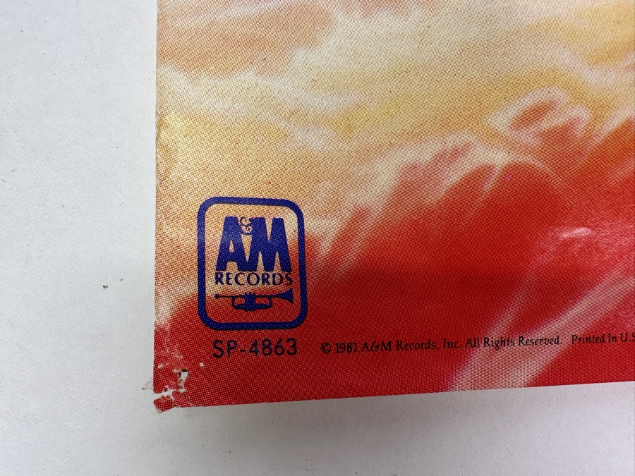 JUST ADDED - Vintage 1981 Oingo Boingo - Only A Lad Poster 24 X 24 [Photo 6]