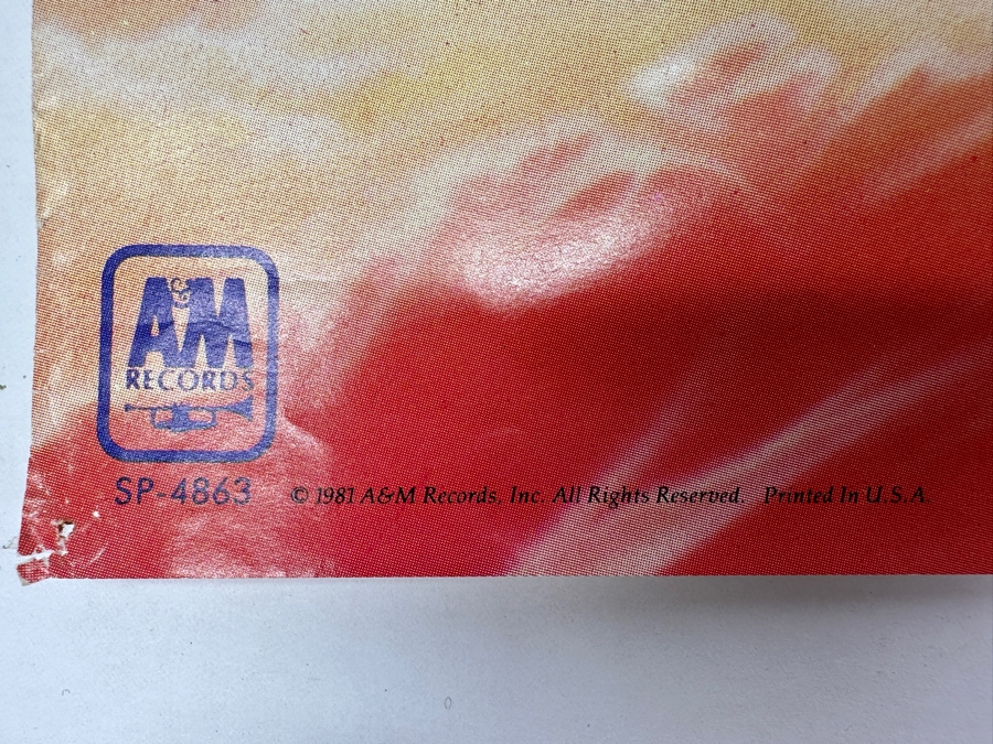 JUST ADDED - Vintage 1981 Oingo Boingo - Only A Lad Poster 24 X 24 [Photo 5]