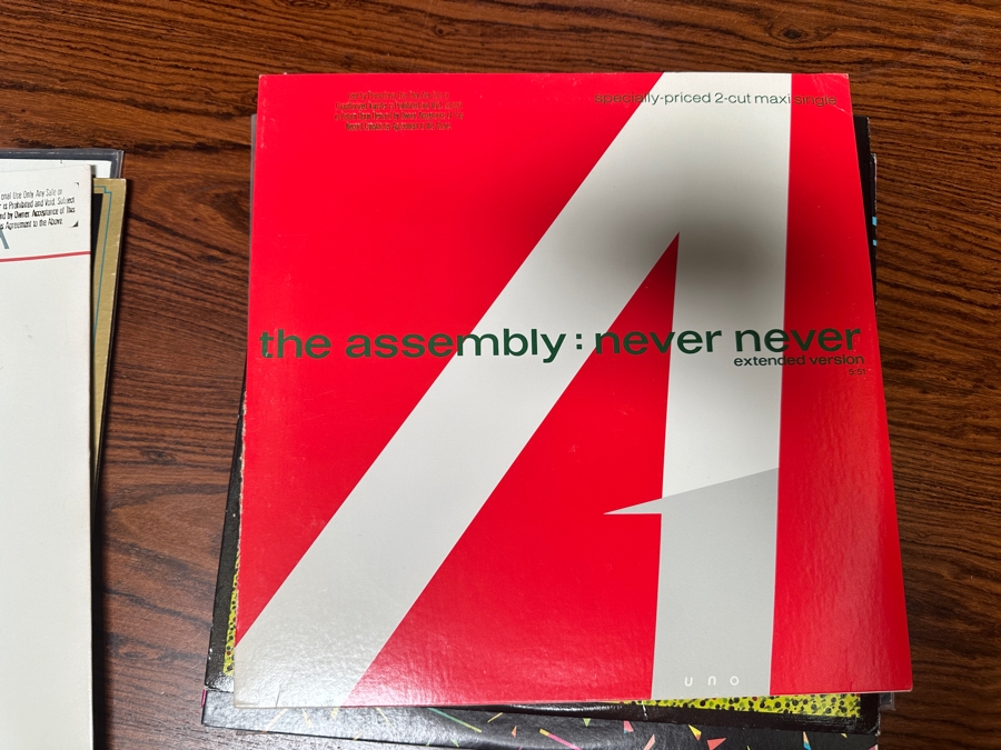 JUST ADDED - 12 Vintage Vinyl Records With Promo Copies - See Photos [Photo 6]