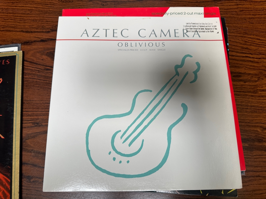 JUST ADDED - 12 Vintage Vinyl Records With Promo Copies - See Photos [Photo 5]