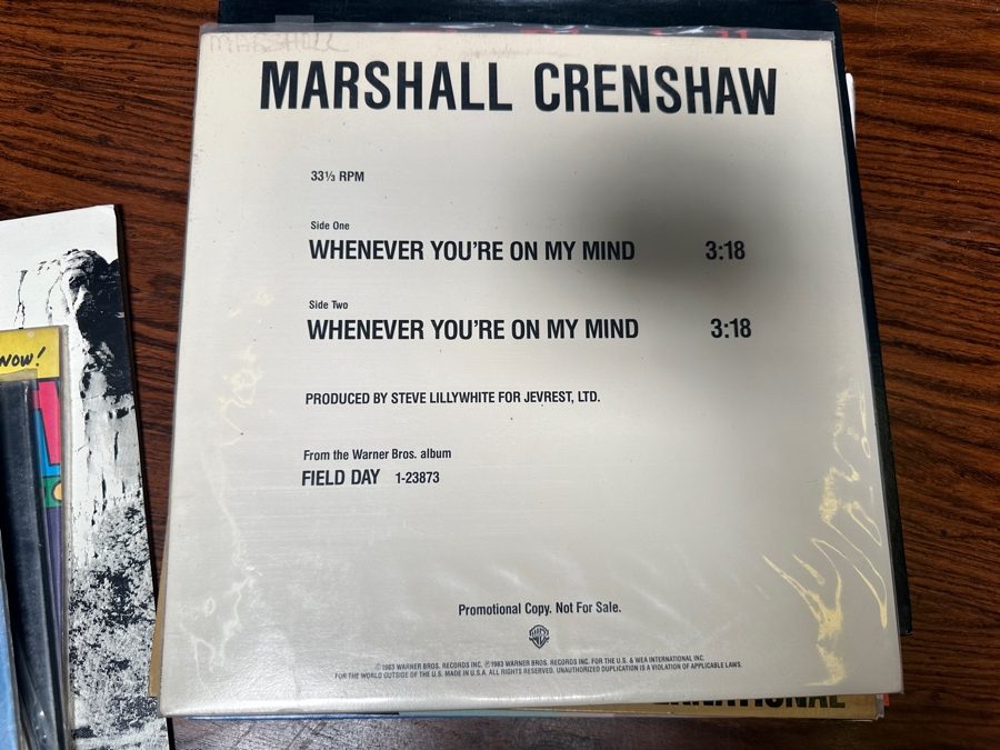 JUST ADDED - 12 Vintage Vinyl Records With Promo Copies - See Photos [Photo 8]