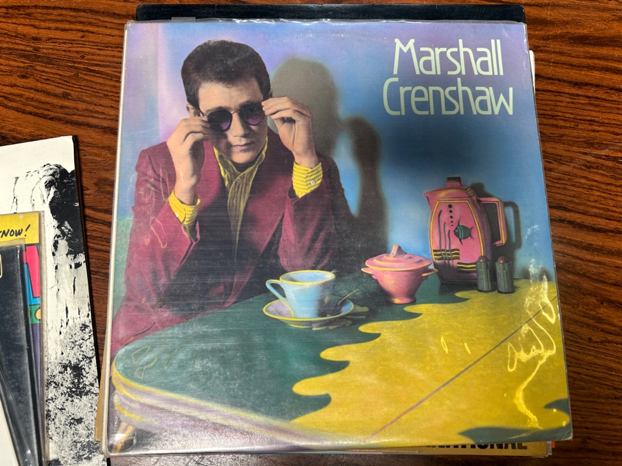 JUST ADDED - 12 Vintage Vinyl Records With Promo Copies - See Photos [Photo 7]