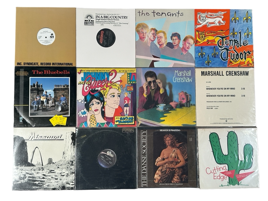 JUST ADDED - 12 Vintage Vinyl Records With Promo Copies - See Photos [Photo 1]
