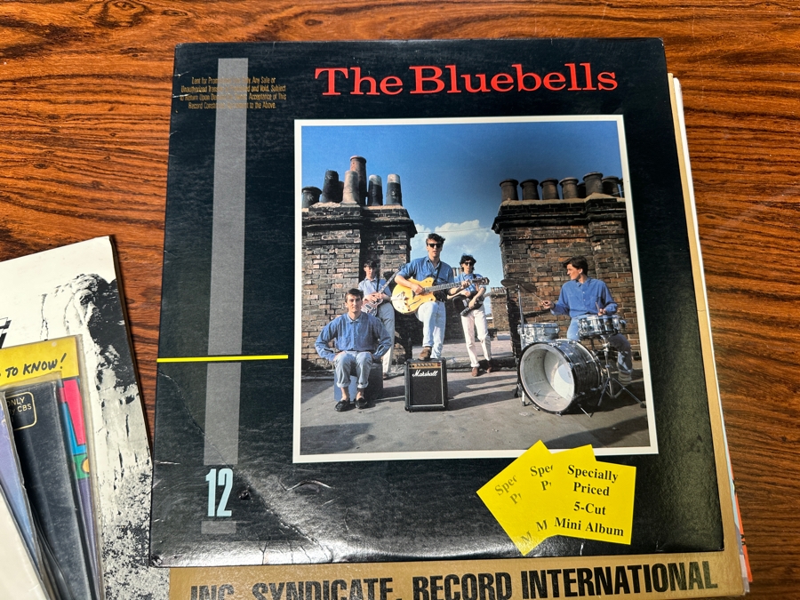 JUST ADDED - 12 Vintage Vinyl Records With Promo Copies - See Photos [Photo 9]