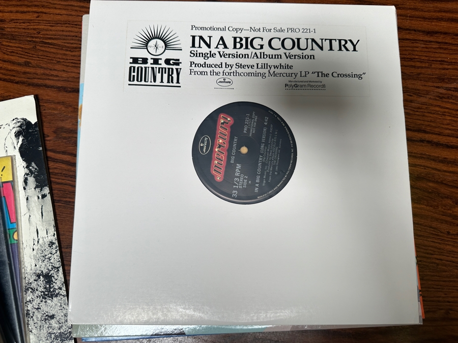 JUST ADDED - 12 Vintage Vinyl Records With Promo Copies - See Photos [Photo 11]