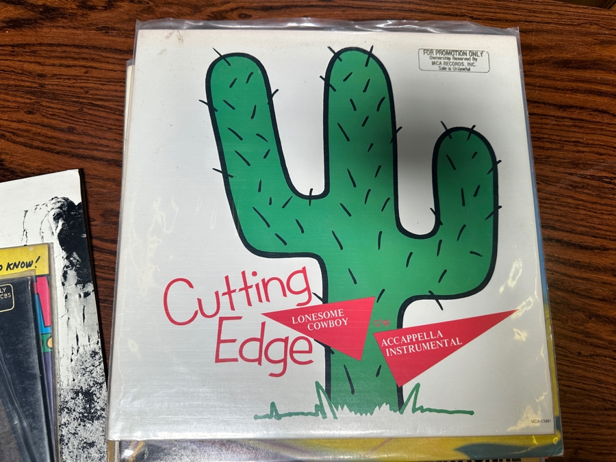 JUST ADDED - 12 Vintage Vinyl Records With Promo Copies - See Photos [Photo 6]