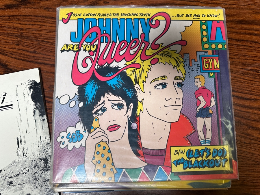 JUST ADDED - 12 Vintage Vinyl Records With Promo Copies - See Photos [Photo 3]