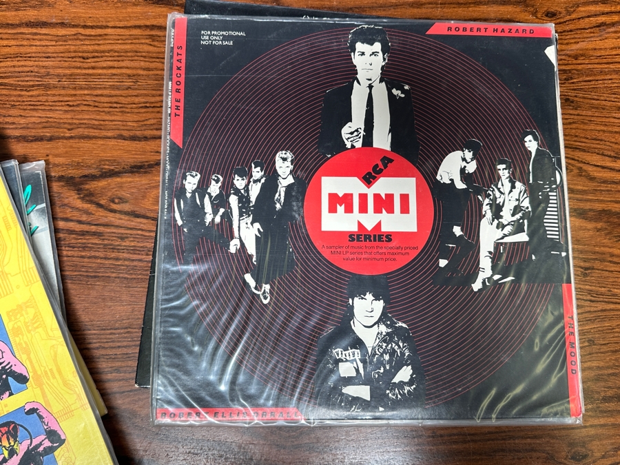 JUST ADDED - 12 Vintage Vinyl Records With Promo Copies - See Photos [Photo 9]