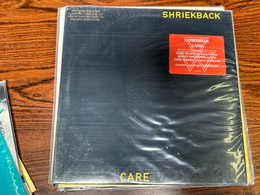 JUST ADDED - 12 Vintage Vinyl Records With Promo Copies - See Photos [Photo 6]