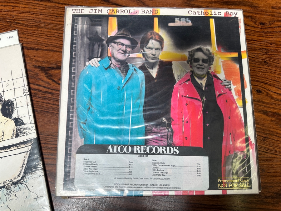 JUST ADDED - 12 Vintage Vinyl Records With Promo Copies - See Photos [Photo 5]