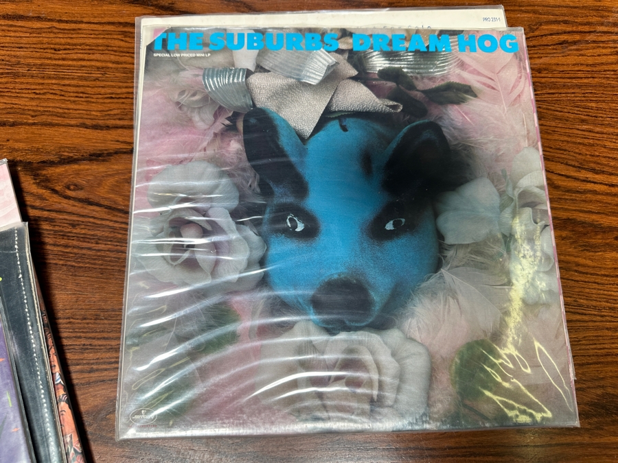 JUST ADDED - 12 Vintage Vinyl Records With Promo Copies - See Photos [Photo 9]