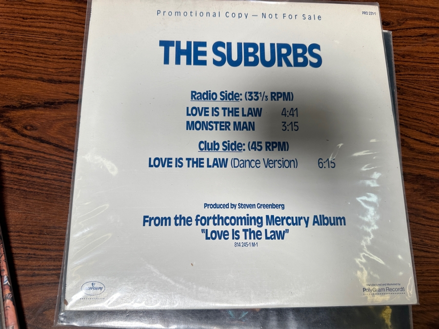 JUST ADDED - 12 Vintage Vinyl Records With Promo Copies - See Photos [Photo 12]