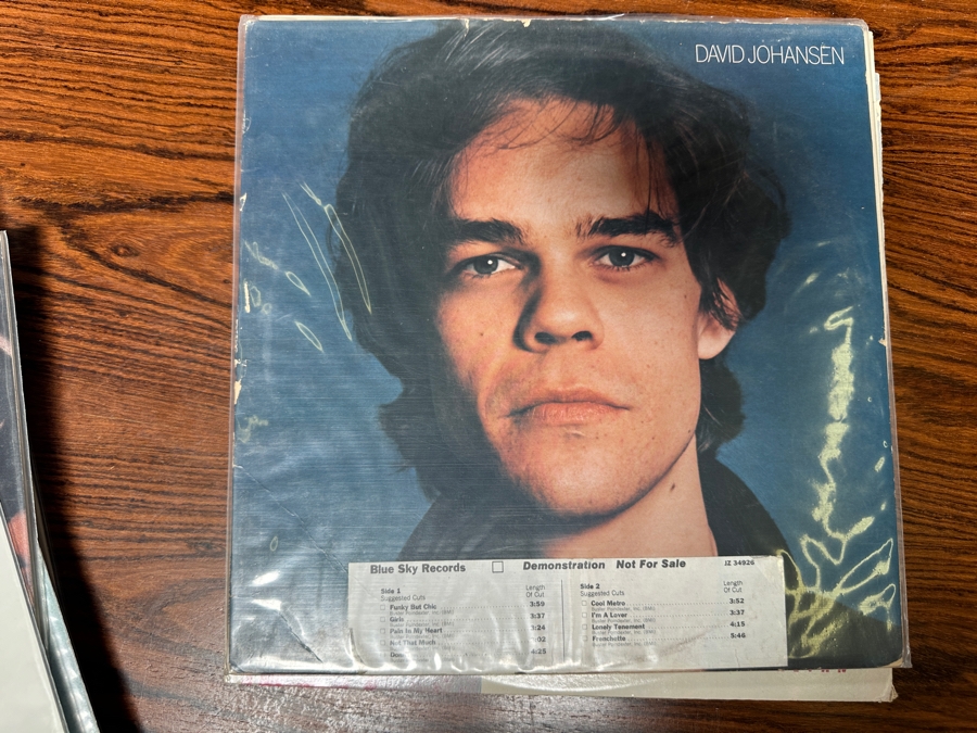 JUST ADDED - 12 Vintage Vinyl Records With Promo Copies - See Photos [Photo 12]