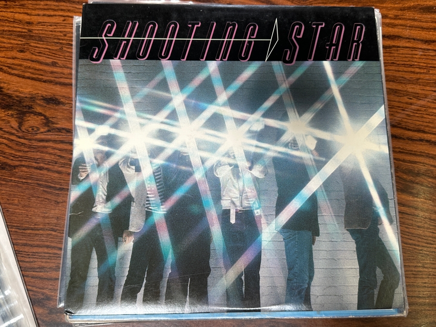 JUST ADDED - 12 Vintage Vinyl Records With Promo Copies - See Photos [Photo 6]