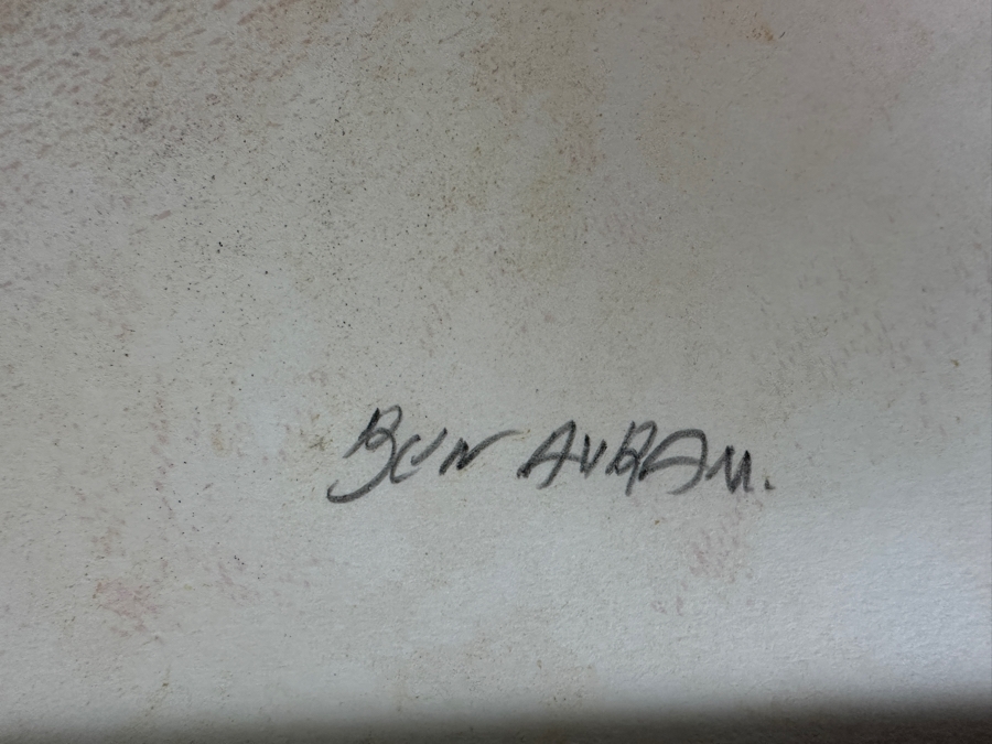 Ben Avram Hand Signed Artist Proof Lithograph 18.5 X 24 Framed 26.5 X 31 [Photo 11]