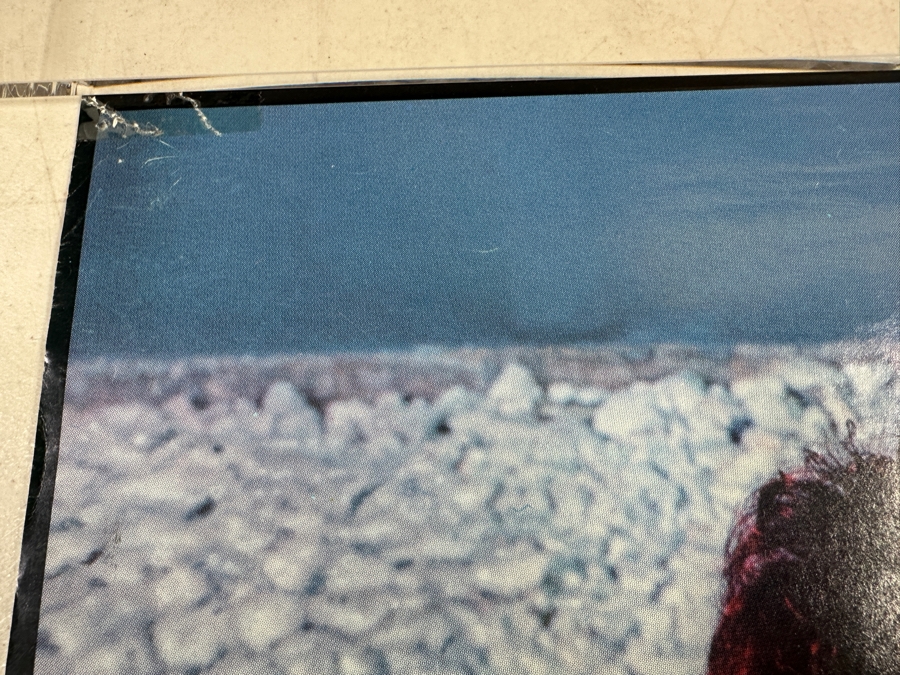 Vintage 1982 Josie Cotton - Convertible Music Elektra Records Pop Rock Poster 24 X 24 [Photo 5]