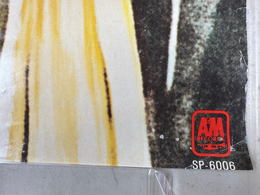 Vintage 1978 The Ozark Mountain Daredevils - It's Alive A&M Records Record Store Promotional Poster 30 X 30 [Photo 5]