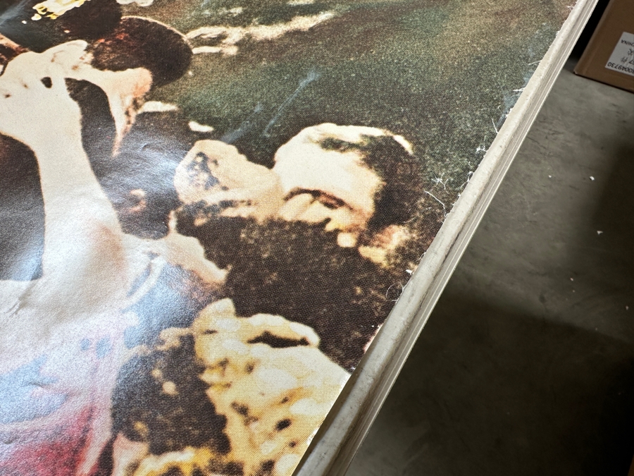 Vintage 1978 The Ozark Mountain Daredevils - It's Alive A&M Records Record Store Promotional Poster 30 X 30 [Photo 4]