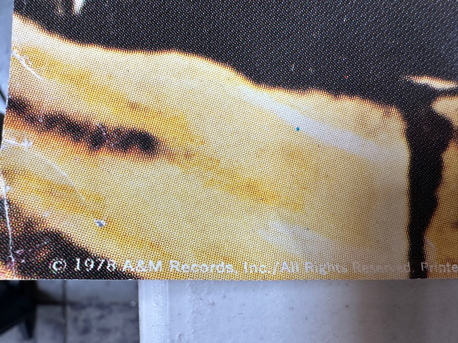 Vintage 1978 The Ozark Mountain Daredevils - It's Alive A&M Records Record Store Promotional Poster 30 X 30 [Photo 6]