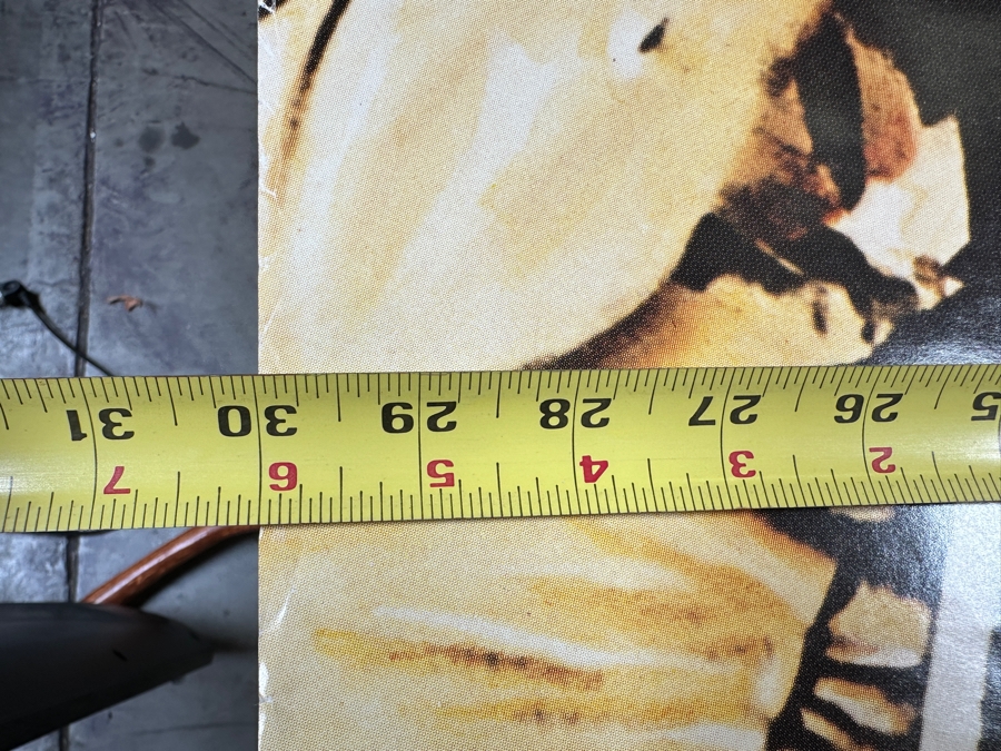 Vintage 1978 The Ozark Mountain Daredevils - It's Alive A&M Records Record Store Promotional Poster 30 X 30 [Photo 7]