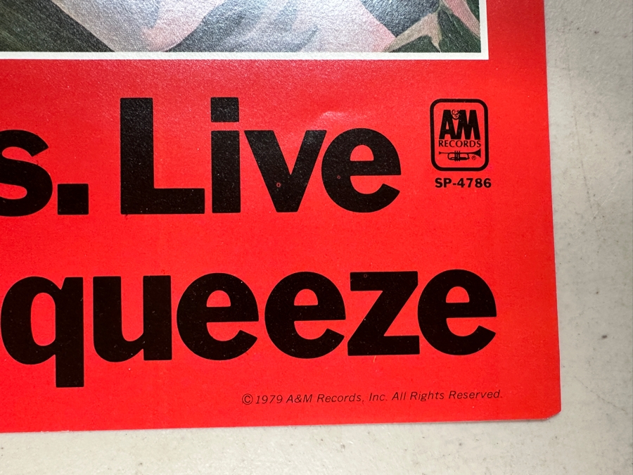 Propaganda A&M Records Record Store Promotional Poster 32.5 X 22 [Photo 5]