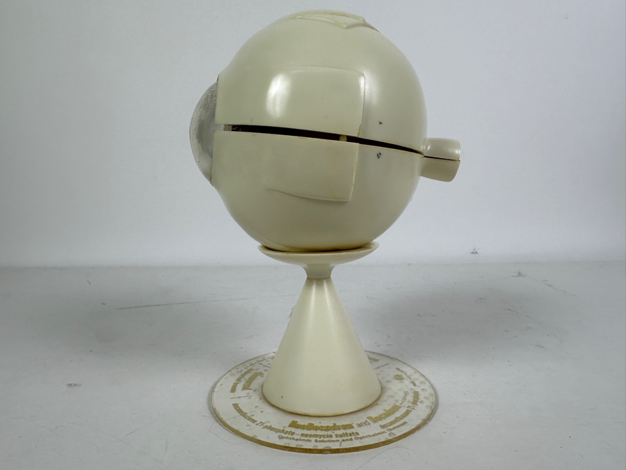 Anatomical Human Eye Model 7.5H [Photo 8]