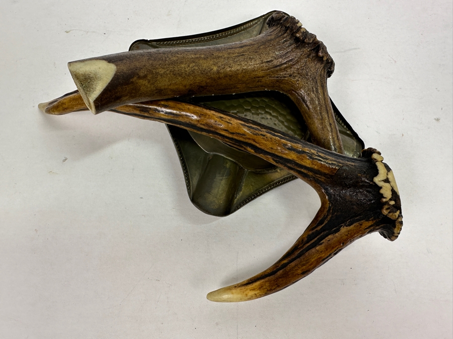 Unique Antler Ashtray 9W [Photo 10]