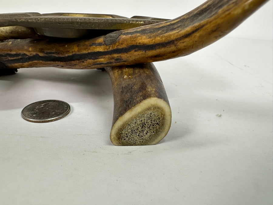 Unique Antler Ashtray 9W [Photo 6]
