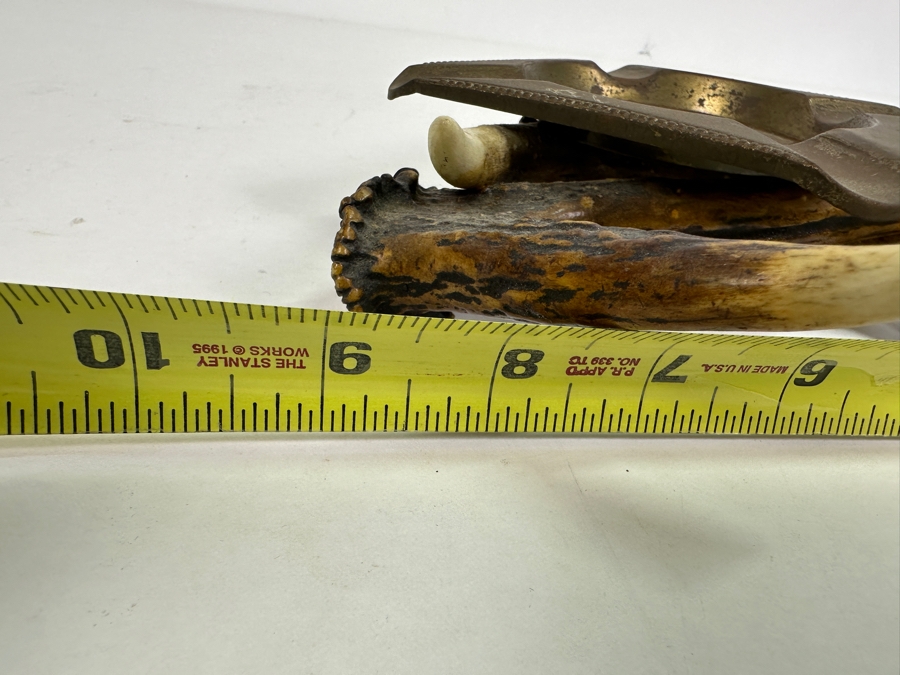 Unique Antler Ashtray 9W [Photo 11]
