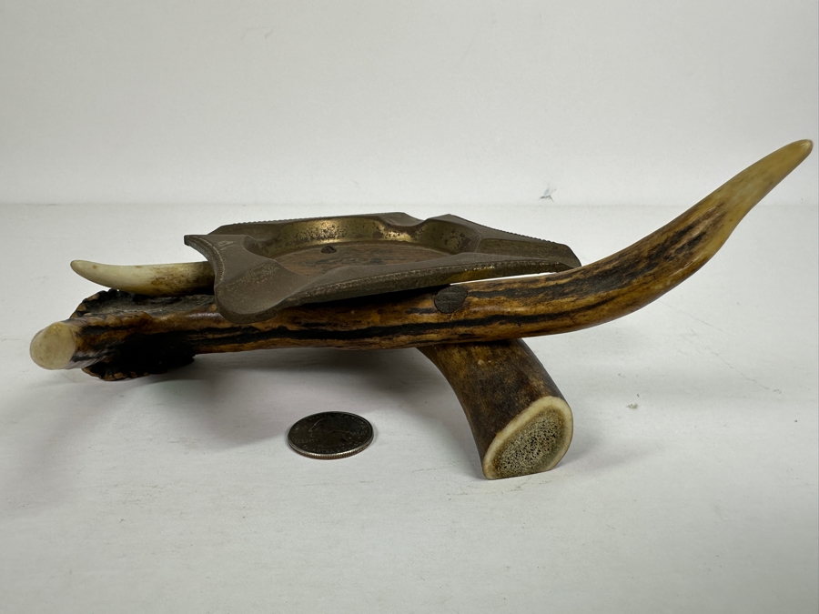 Unique Antler Ashtray 9W [Photo 5]