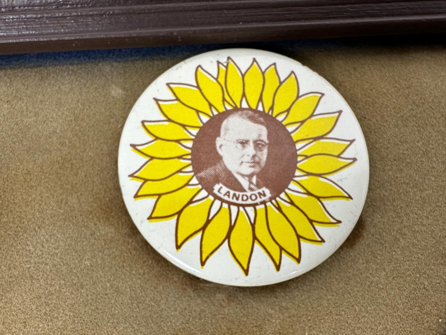 Collection Of Old United States Presidential Campaign Buttons With Display Frame - See Photos [Photo 6]