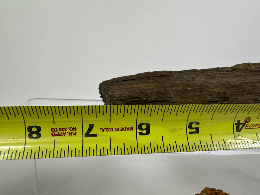 Pair Of Petrified Wood Pieces - Longer Piece Is 6.5'L [Photo 8]
