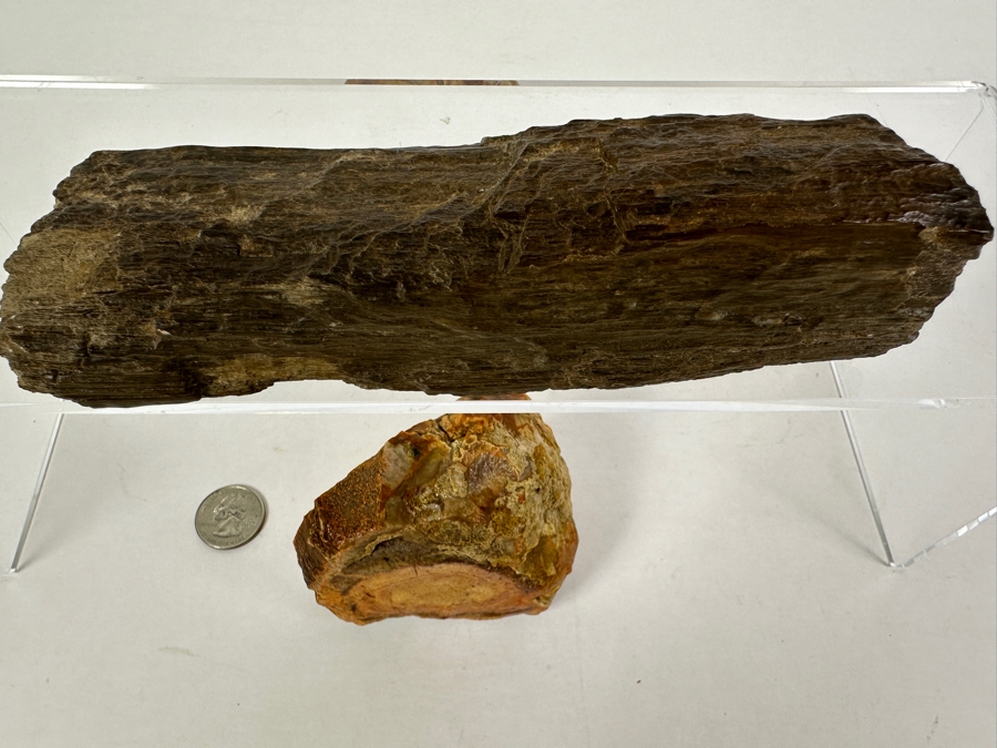Pair Of Petrified Wood Pieces - Longer Piece Is 6.5'L [Photo 6]