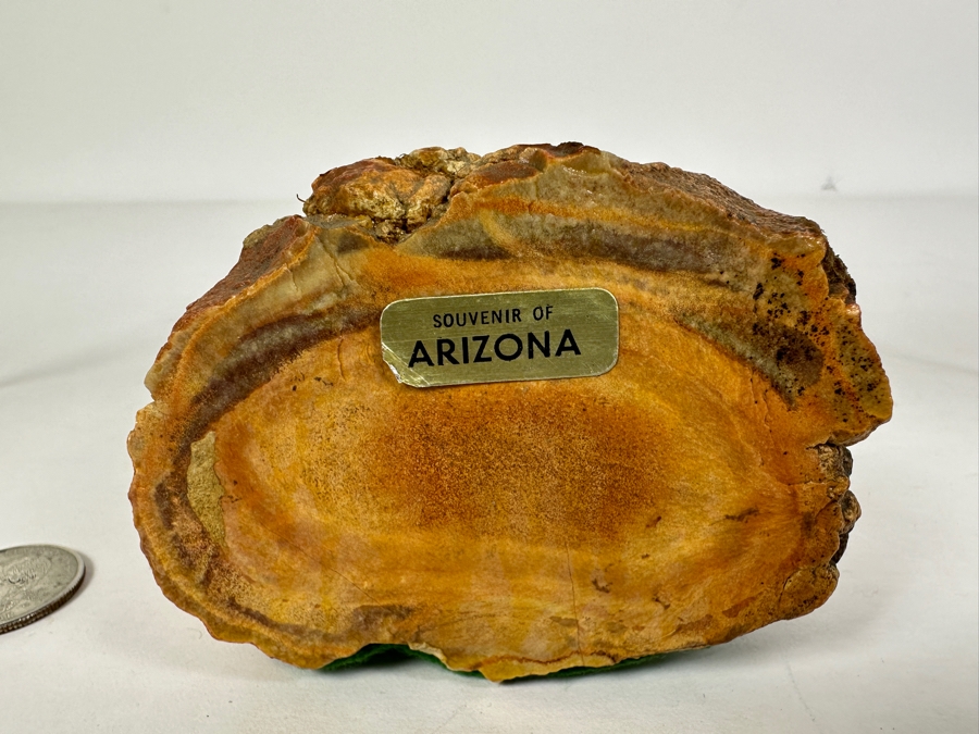 Pair Of Petrified Wood Pieces - Longer Piece Is 6.5'L [Photo 3]